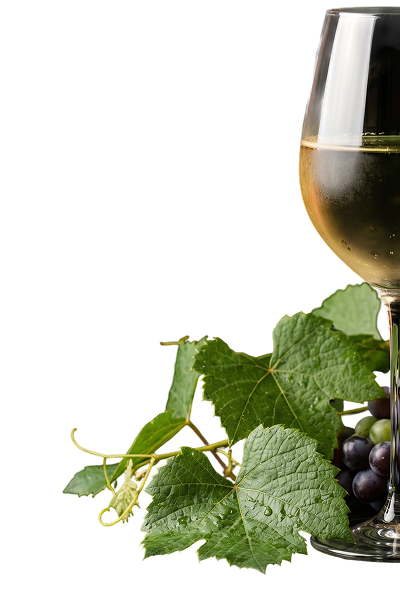 Verre de vin 1