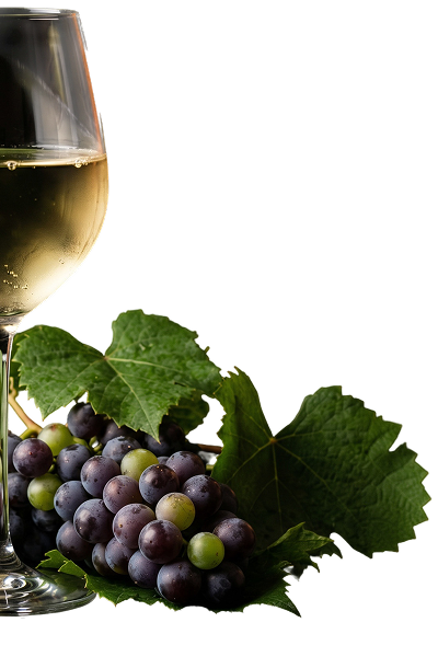 Verre de vin 2